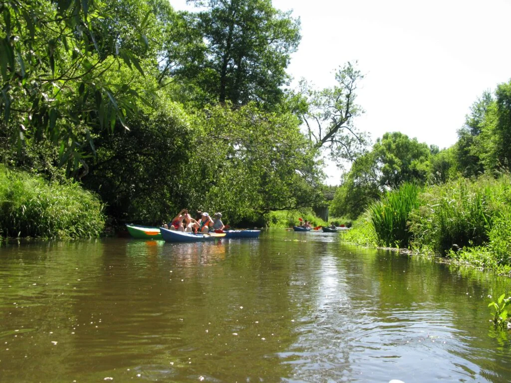 baidariu nuoma dzukijoje