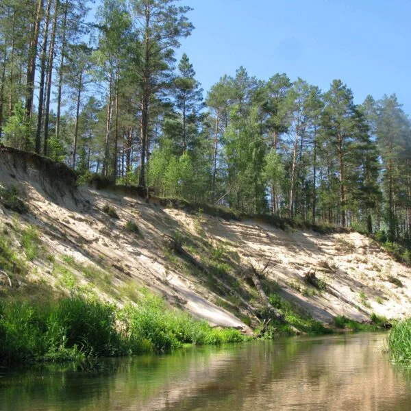baidariu nuoma